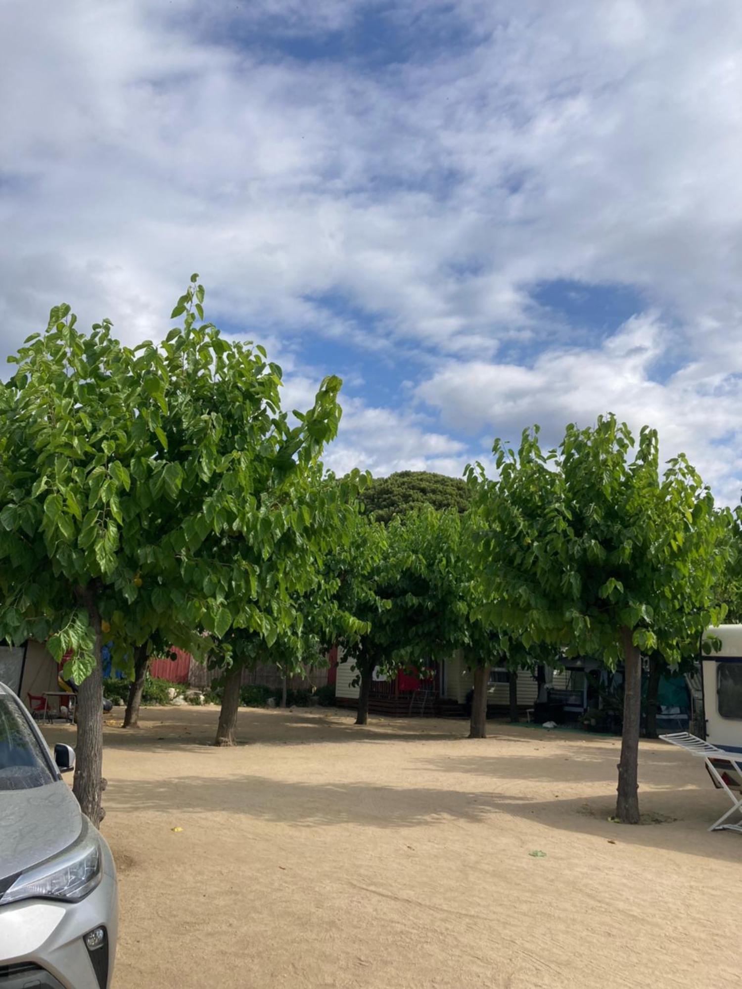 El Pinar Platja Camping